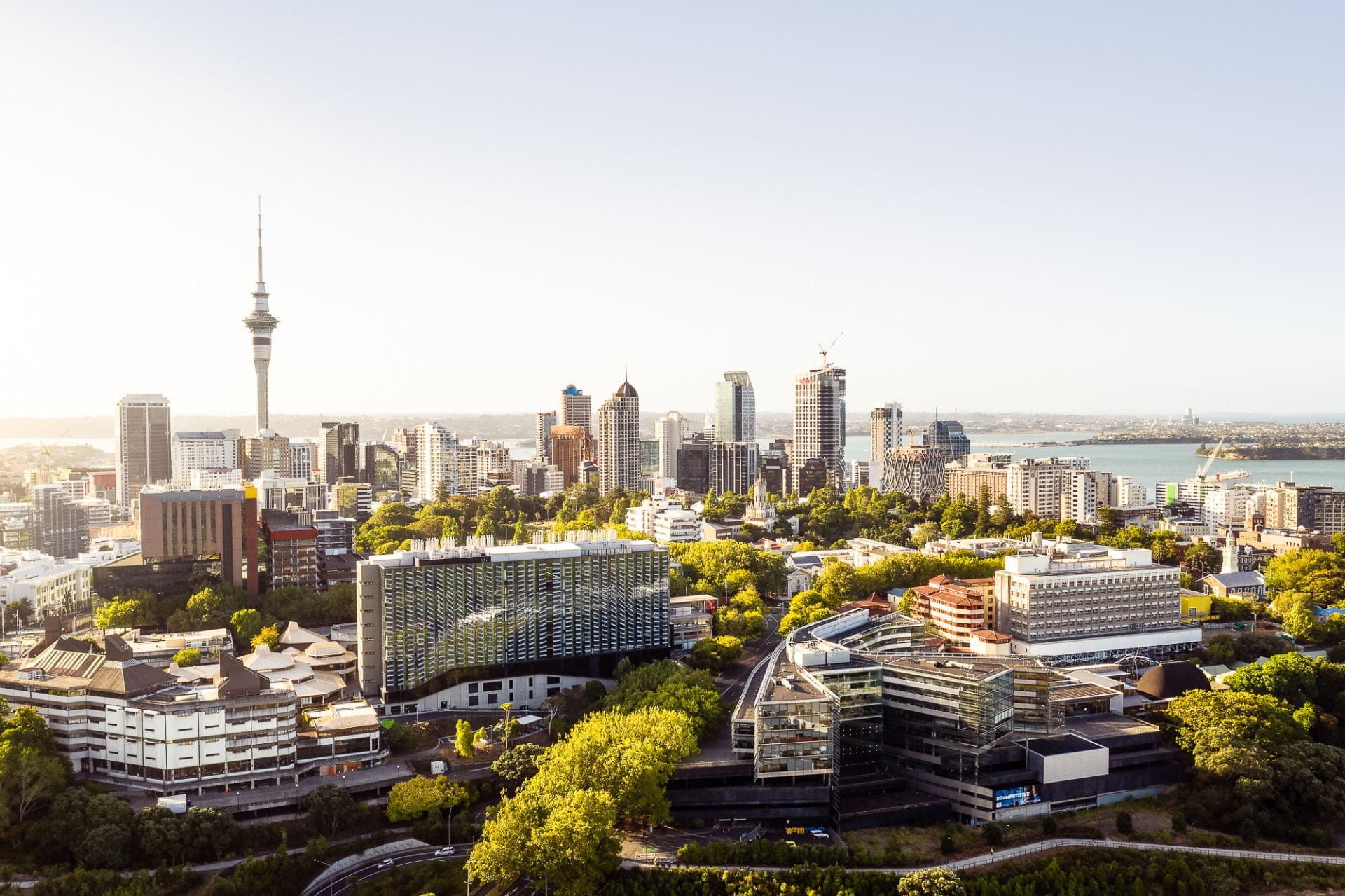 University of Auckland